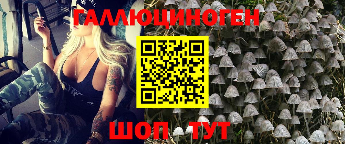 Сибай  Галлюциногенные грибы Psilocybe  магазин  наркотиков  Вход с VPN  Псилоцибиновые грибы мицелий 