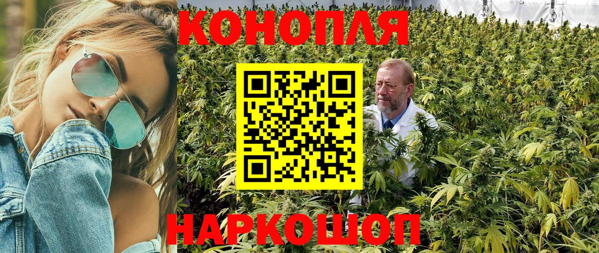Конопля марихуана  Вход с VPN  Бошки Шишки планчик  Марихуана White Widow  Сибай 